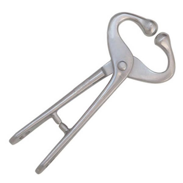 BULL-HOLDER1.jpg