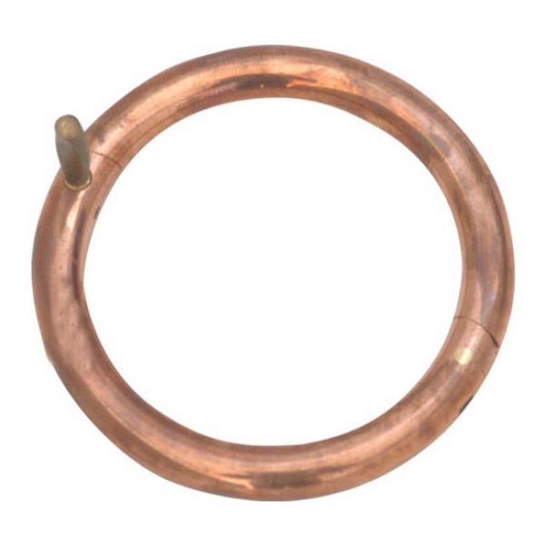 NOSE-RING-COOPER.jpg